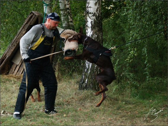 Summer training camp - Jelenec - 2007